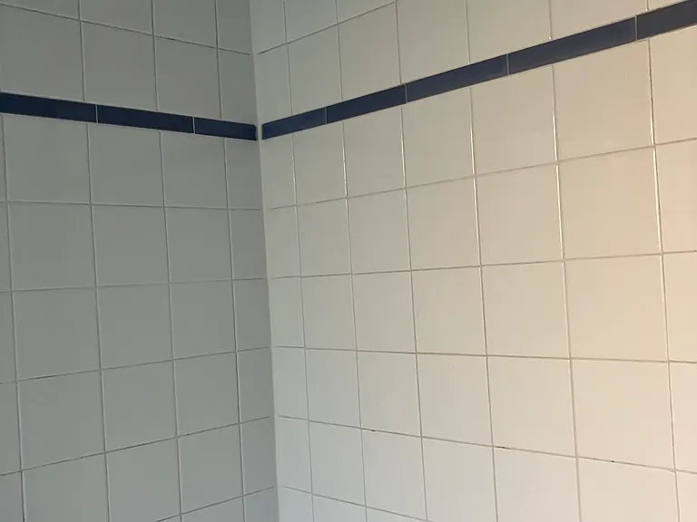 Tile bath/shower w blue trim