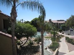 Patio overlooking the babbling brook