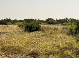 21009 Frank Rd, Paint Rock, TX 76866