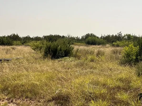 21009 Frank Rd, Paint Rock, TX 76866