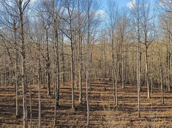 0 Stonebrook Dr Lot 72, Mc Ewen, TN 37101