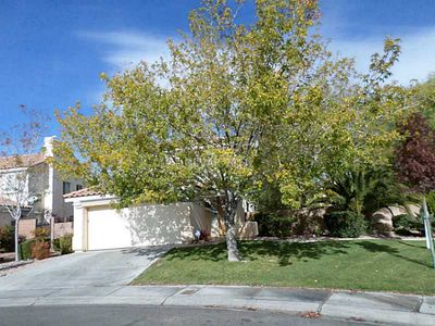 1997 Verbania Dr, Las Vegas, NV, 89134