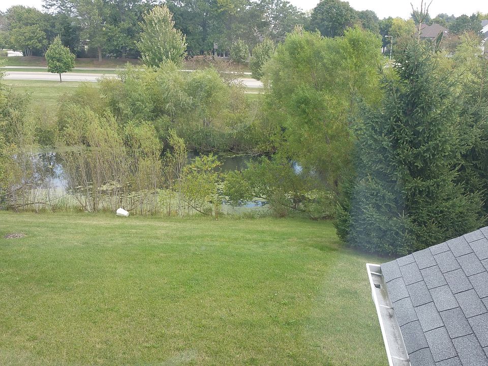 Backyard view from 2nd BR