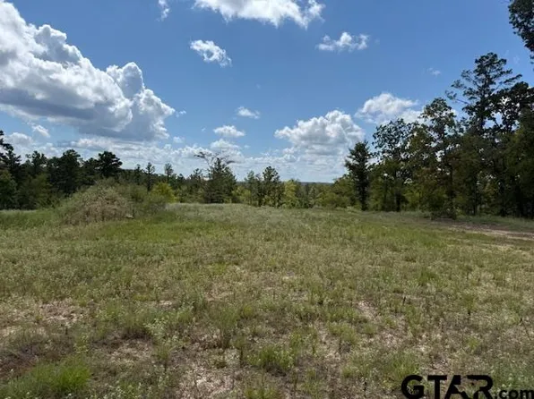 0 County Road 2123, Whitehouse, TX 75791