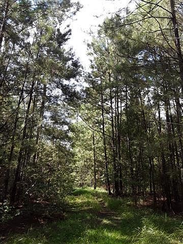 2nd image of 23199 Mixon Rd