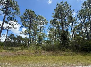 407 Sunset Road, Boiling Spring Lakes, NC 28461