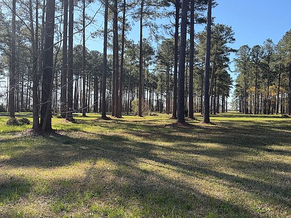 5th image of 99 Corrolla Loop Rd