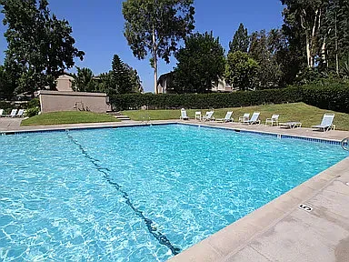 6473 Shady Lawn Dr #6 — Photo 25