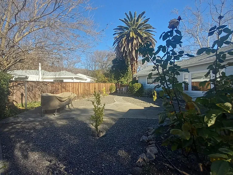 Fall shot of back yard