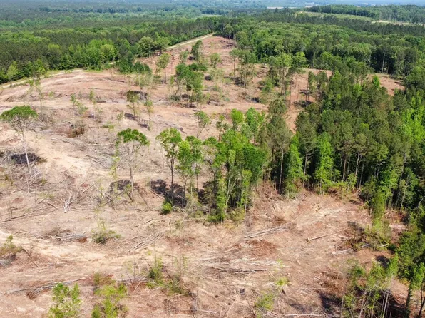 County Road 205, Mantee, MS 39751