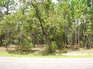 9714 N Wayland Ave, Citrus Springs, FL 34434
