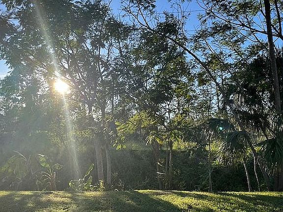 Sabal Bluff Preserve Behind.