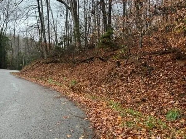 Big Hill Rd, Pennington Gap, VA 24277