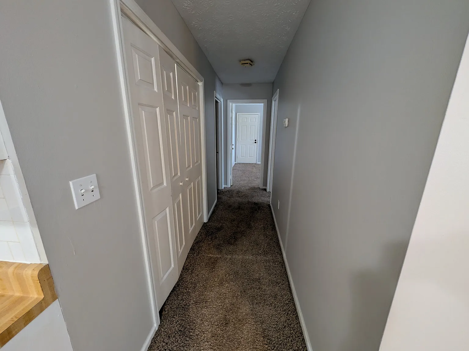 306 Molloy 2026 — Photo 4