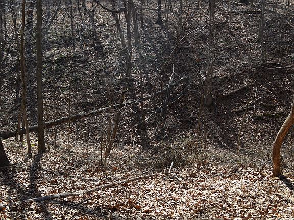 5th image of Crosshill Ln