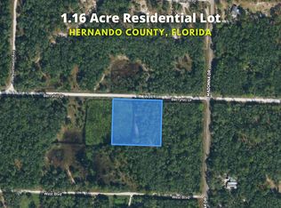 Berryhill Dr, Webster, FL 33597