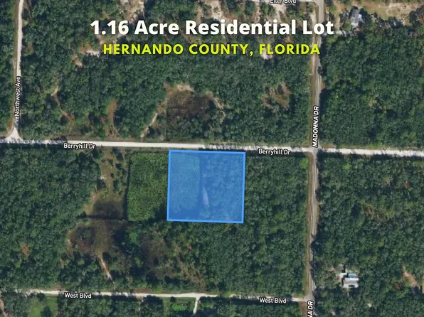 Berryhill Dr, Webster, FL 33597