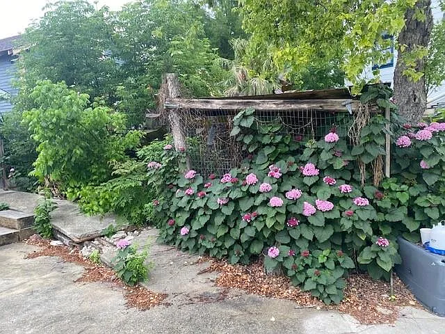 429 Pelican Ave — Photo 16