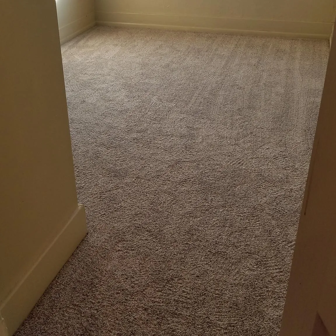 1 bed, 550 sqft, $650 — Photo 3
