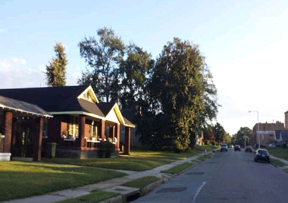 3rd image of 850 N Belvedere Blvd