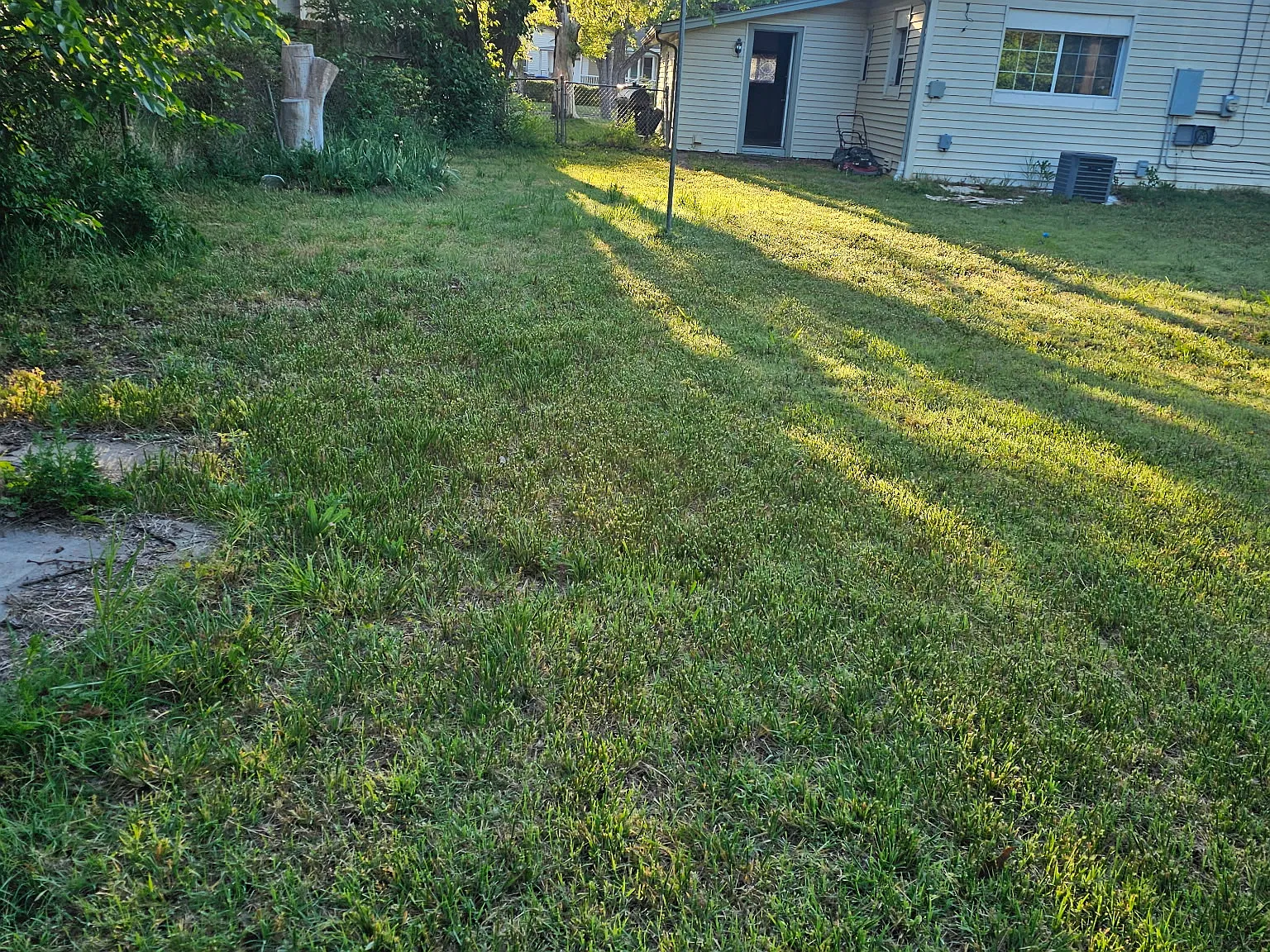 3 bed, 1216 sqft, $1,295 — Photo 4