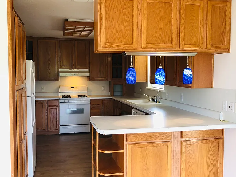 15171 Mitchell Bend Ct — Photo 5