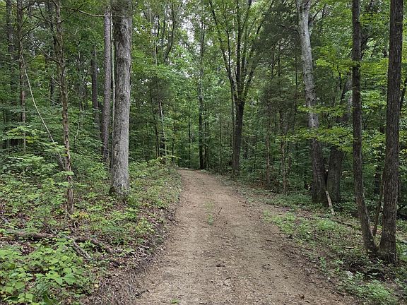 2nd image of 0 County Road 121 Lot 2