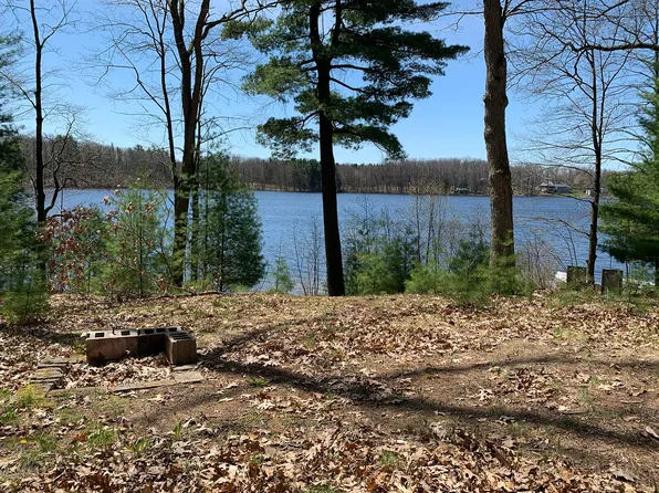 21249 Monroe Rd, Morley, MI 49336