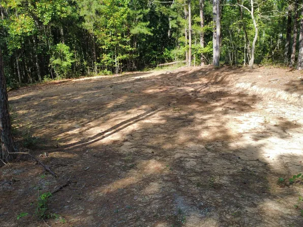 851 Shoreside Dr, Double Springs, AL 35553