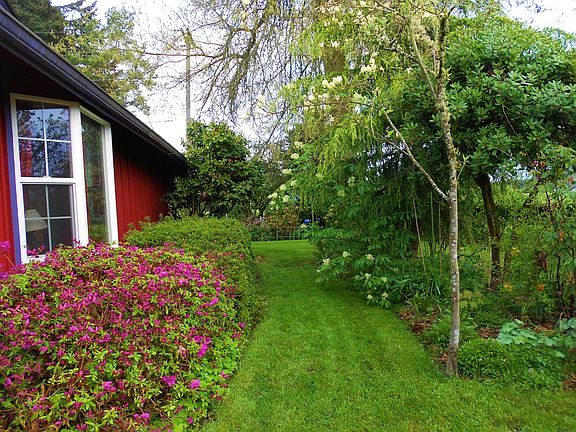 northern side of home