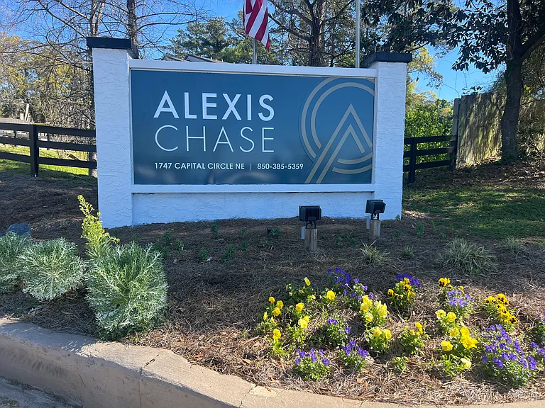 Alexis Chase — Photo 12