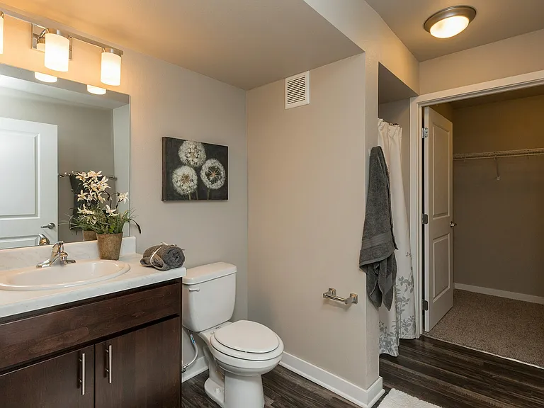 Step into comfort with a spacious bathroom featuring a standing shower, sleek lighting, and a walk-in closet.