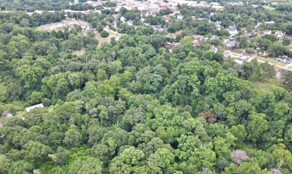 2nd image of Vine Saint Vine St