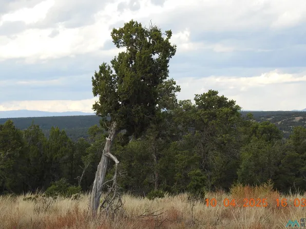 129 Tierra De Vis, Rowe, NM 87562