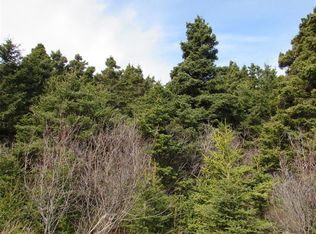 9 Cove Road, Colliers, NL A0A1Y0