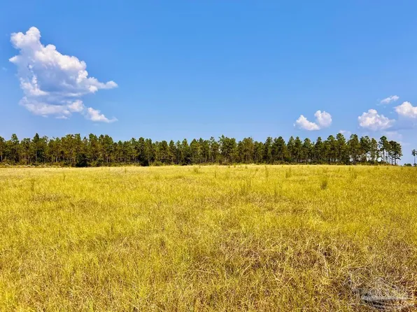 26 Morgan Ln, Molino, FL 32577
