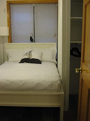 Rented by Urban Living | media 18