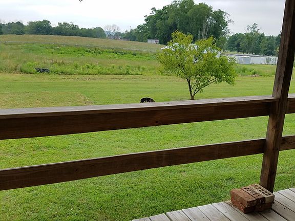 View from back porch