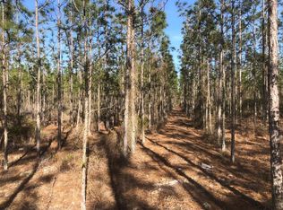 County Road 340, Bell, FL 32619