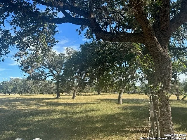 373 Pine Tree Rd — Photo 18