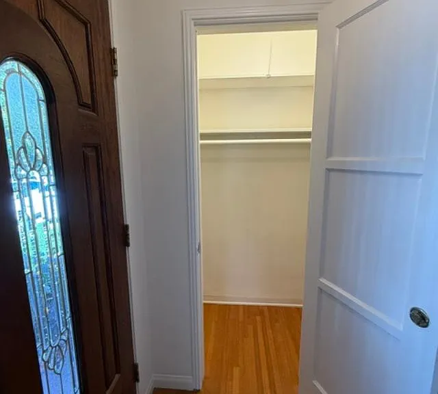 Entry hall closet.