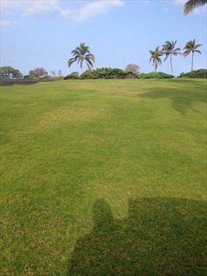 2nd image of Naupaka Kai Pl Lot 9