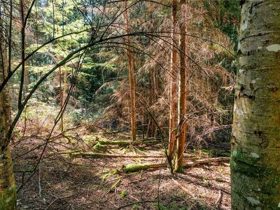 0 Dolphin Ln, Lopez Island, WA, 98261