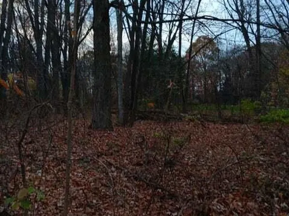 0 Beechwood Dr, Williamston, MI 48895