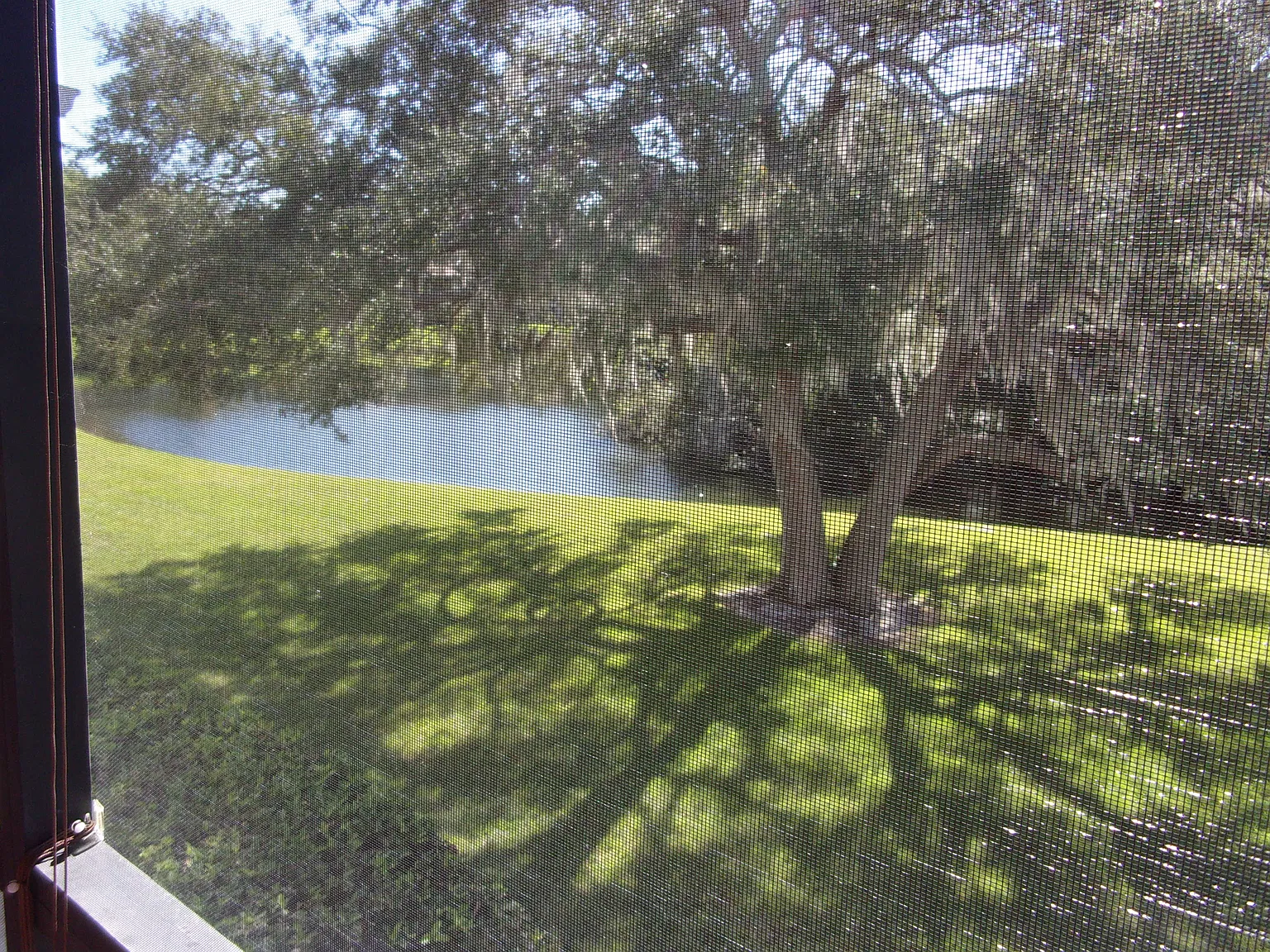 Paradise Found — Photo 4