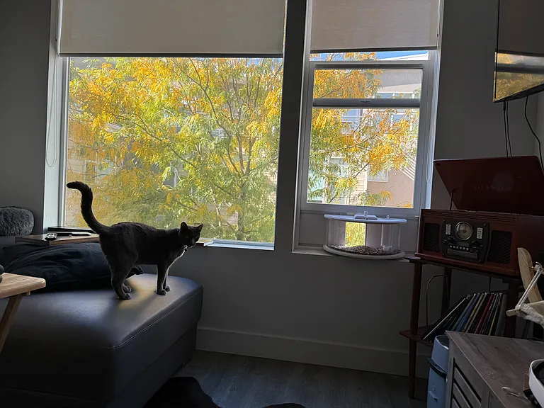 1055 W Rooftop Dr — Photo 16