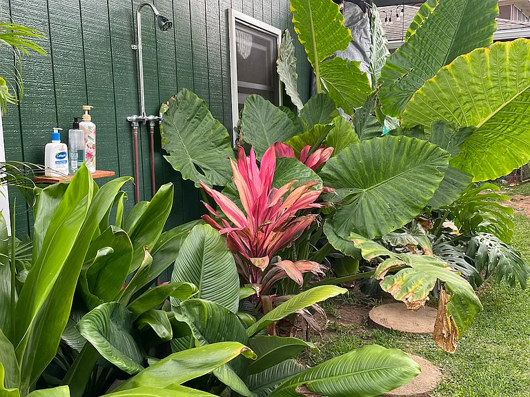 66-351 Haleiwa Rd #1 — Photo 18