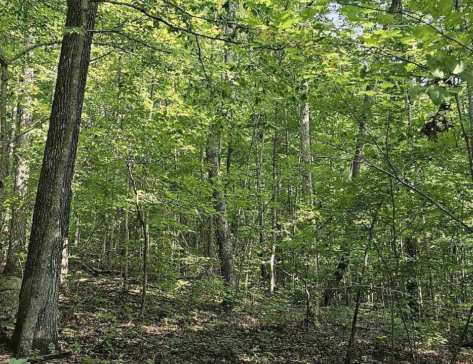 2nd image of 266 Cove Hill Rd