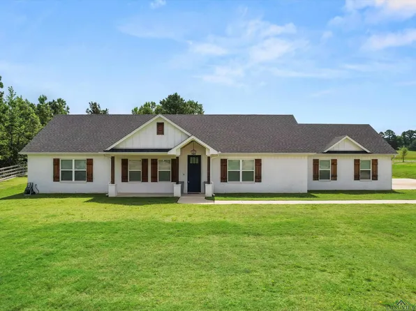 130 Winky Ln, Diana, TX 75640