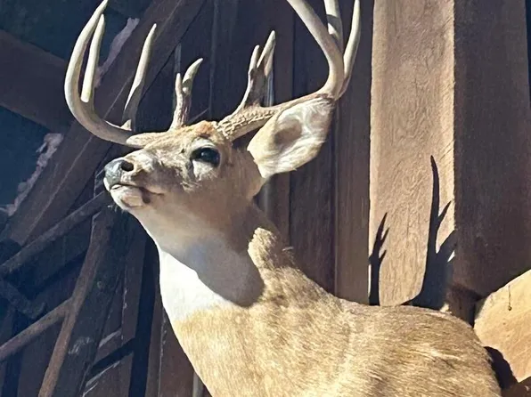 3282 Mockingbird Rd, Louisville, IL 62858